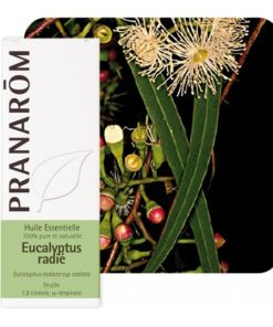 Alternative view of PRANAROM EUKALIPTUS RADIATA ETERIČNO ULJE (EUCALYPTUS RADIATA)