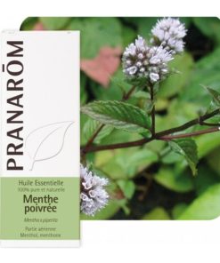Alternative view of PRANAROM, METVICA PAPRENA ETERIČNO ULJE (MENTHA X PIPERITA)
