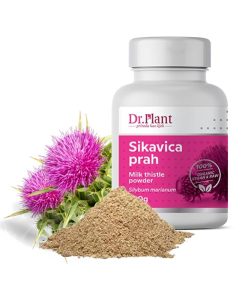 Dr. Plant Sikavica u prahu 100 g